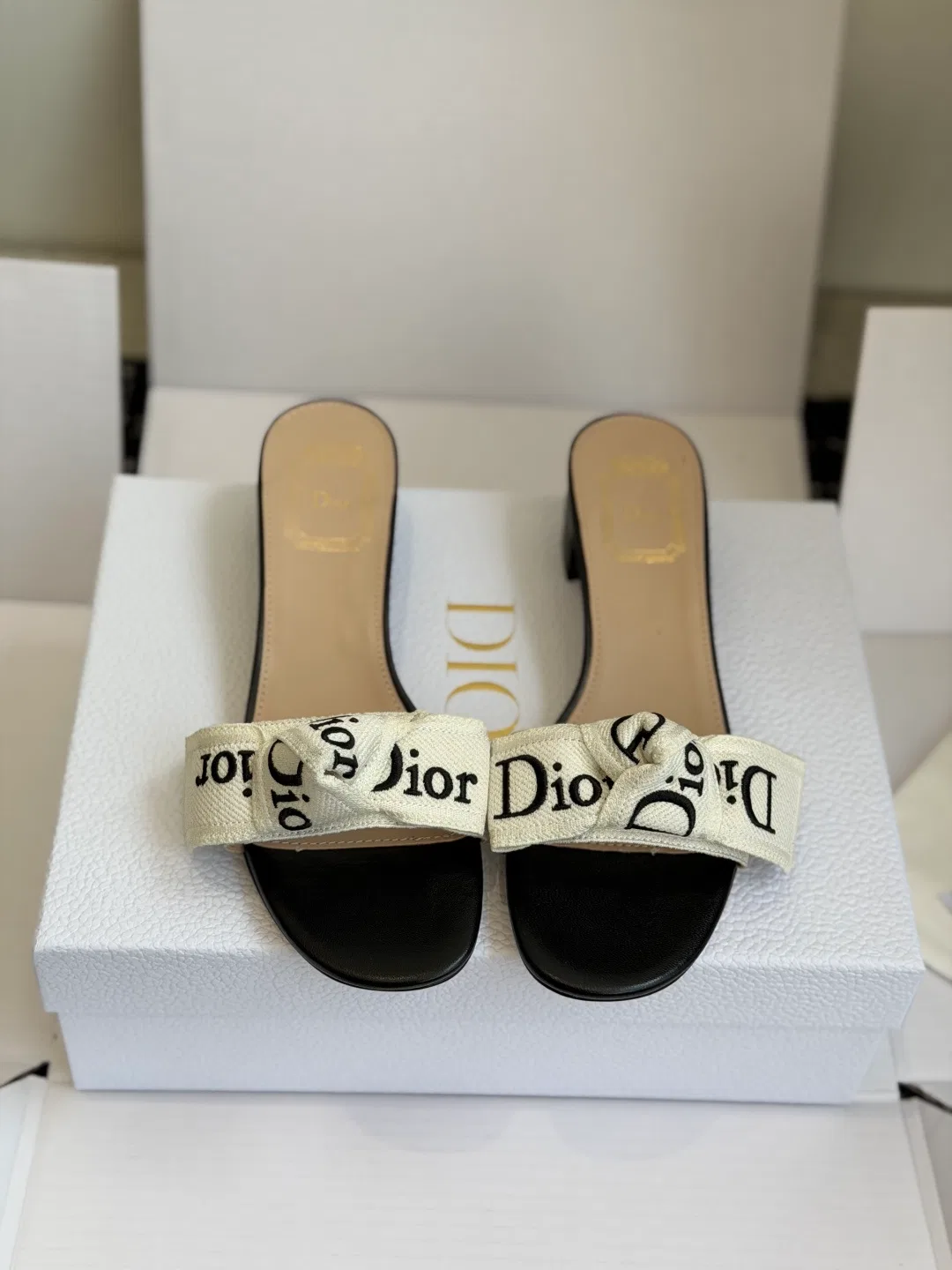DIO 27FW VDWLMEJ 018 구두