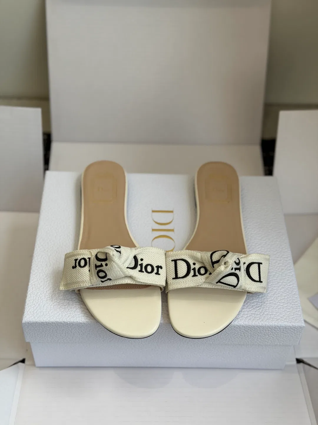 DIO 27FW VDWLMEJ 019 슬리퍼