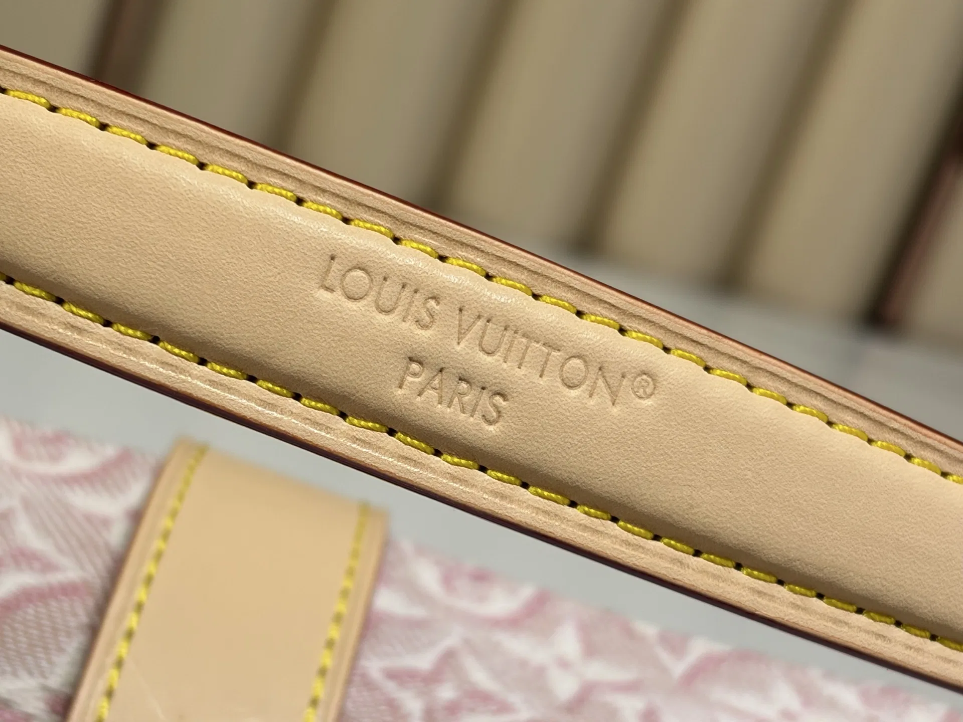 LV 27FW LDWAQLG 142 미니백 5