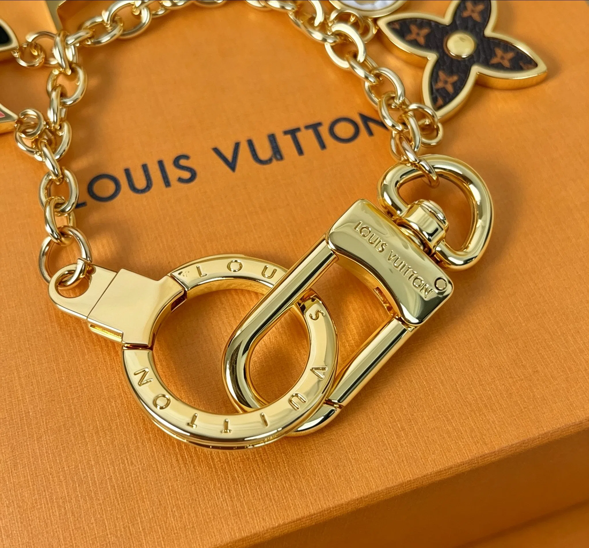 LV 27FW QCBNDNQ 008 키링 5