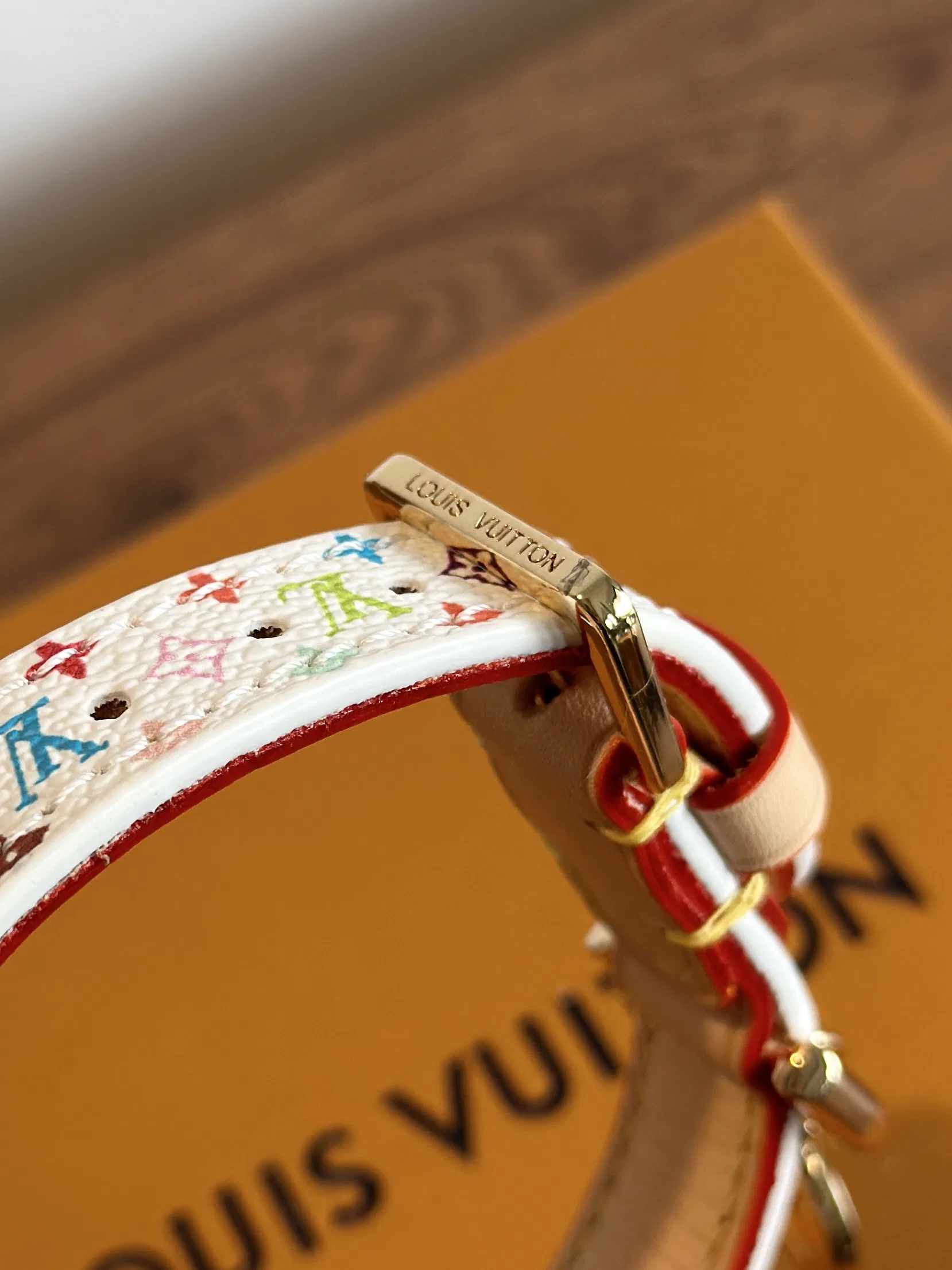 LV 27FW XHWLRED 035 애견목걸이 4
