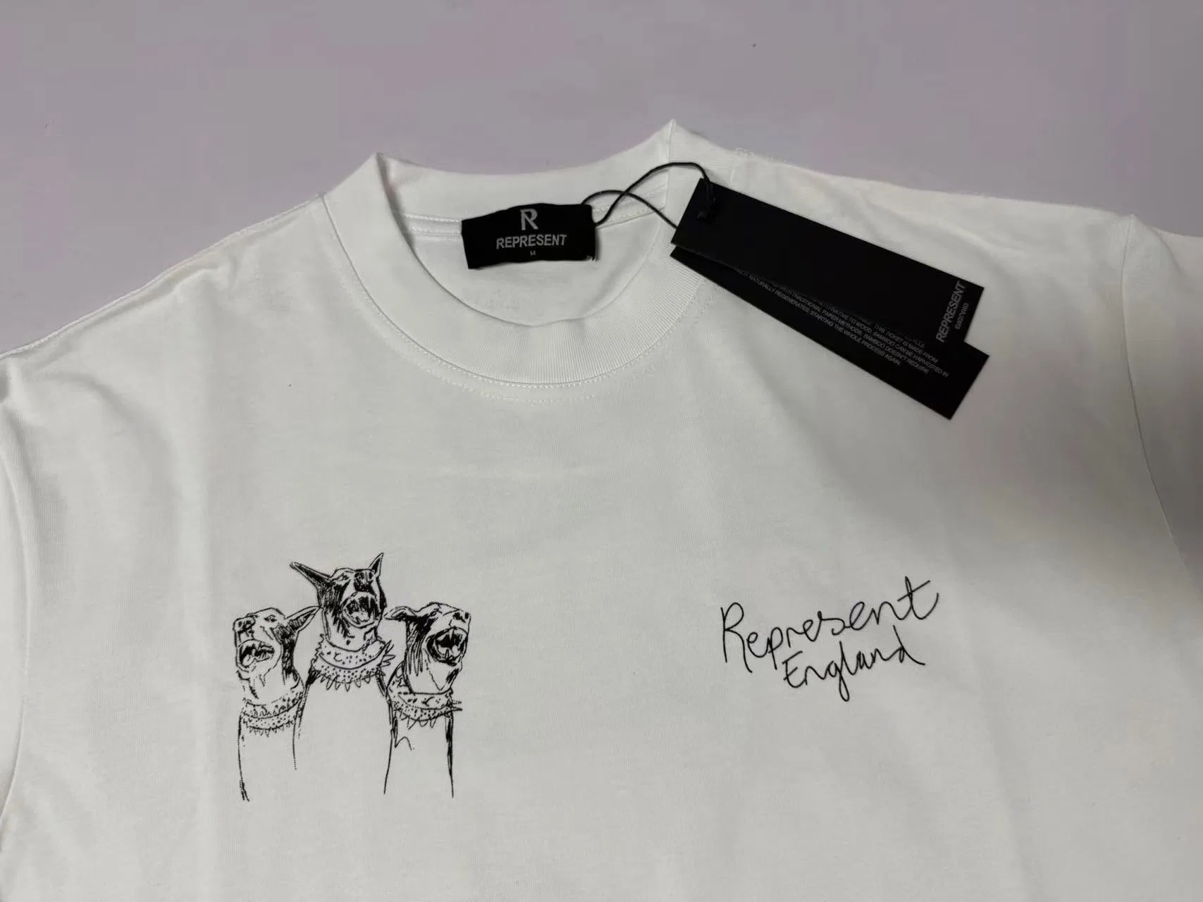 REPRESENT 27FW FHUKJFA 011 반팔티셔츠 5