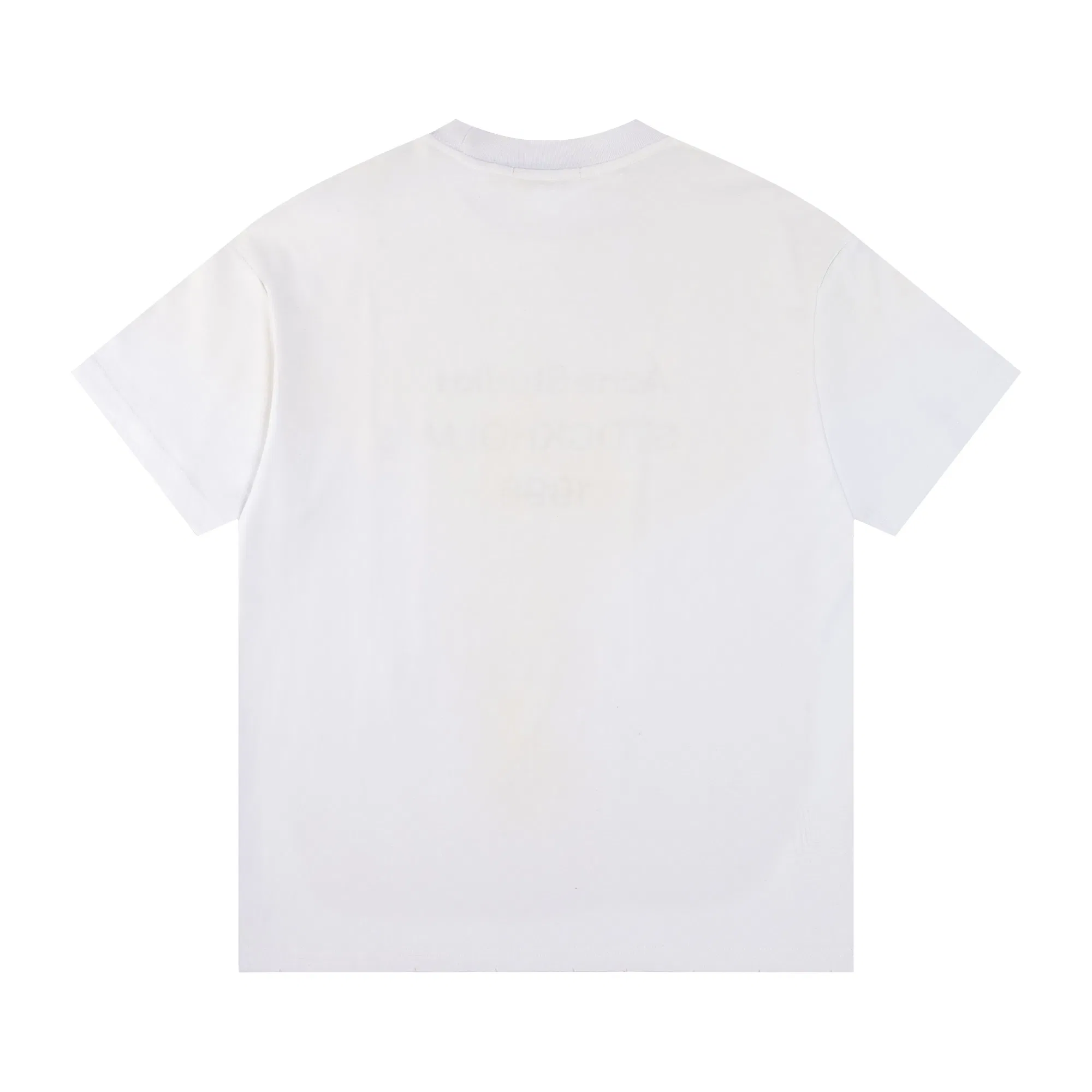 ACNE 27FW OGLIRMF 006 반팔티셔츠 10