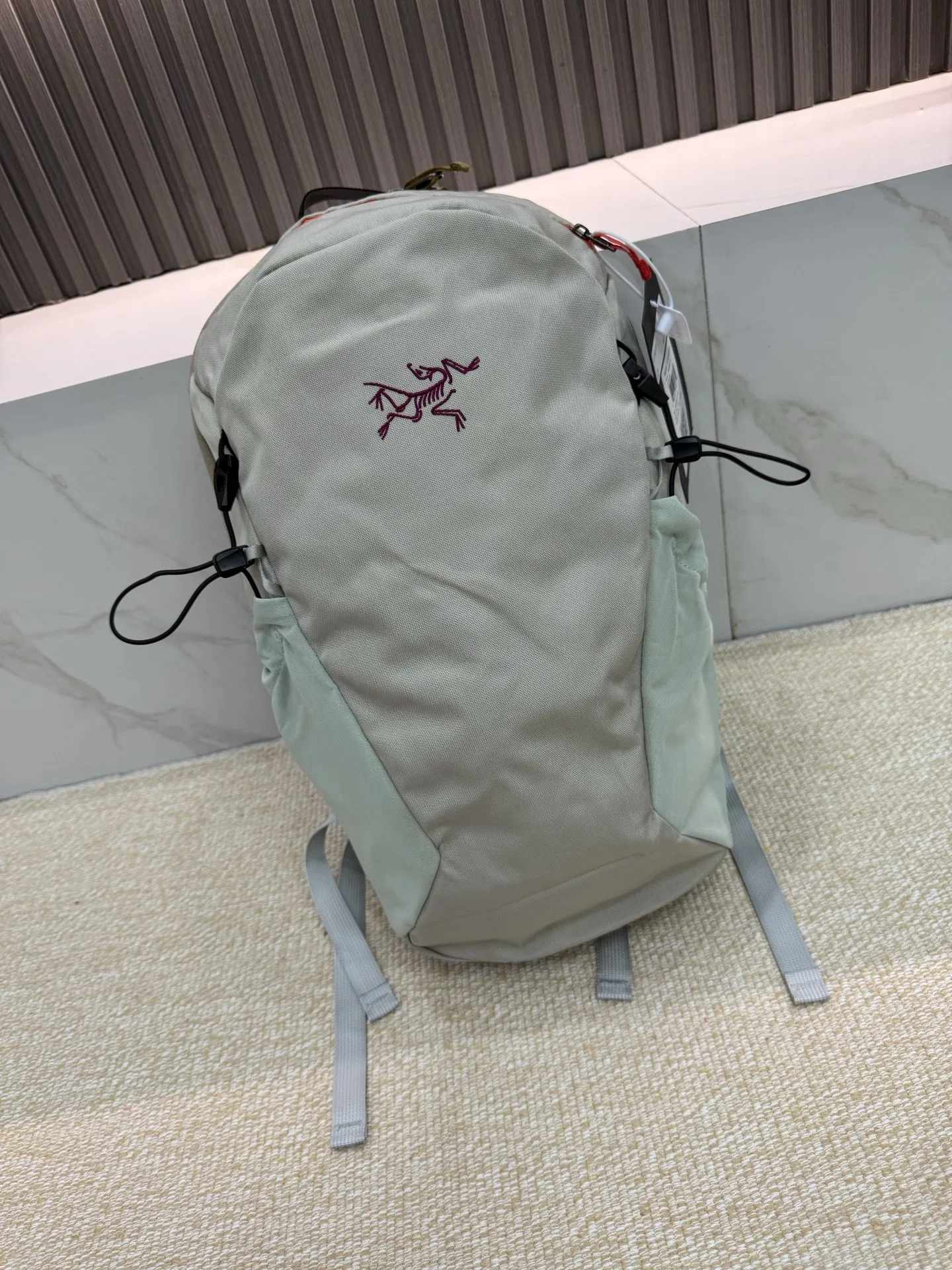 ARC 27FW PTBDKDT 014 백팩 10