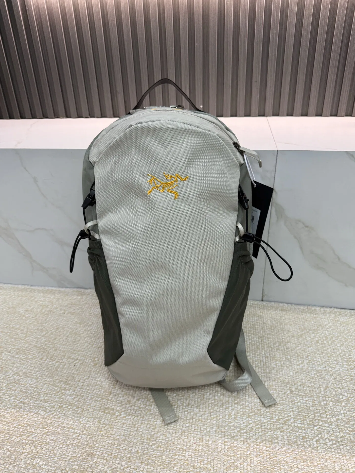 ARC 27FW PTBDKDT 014 백팩 19