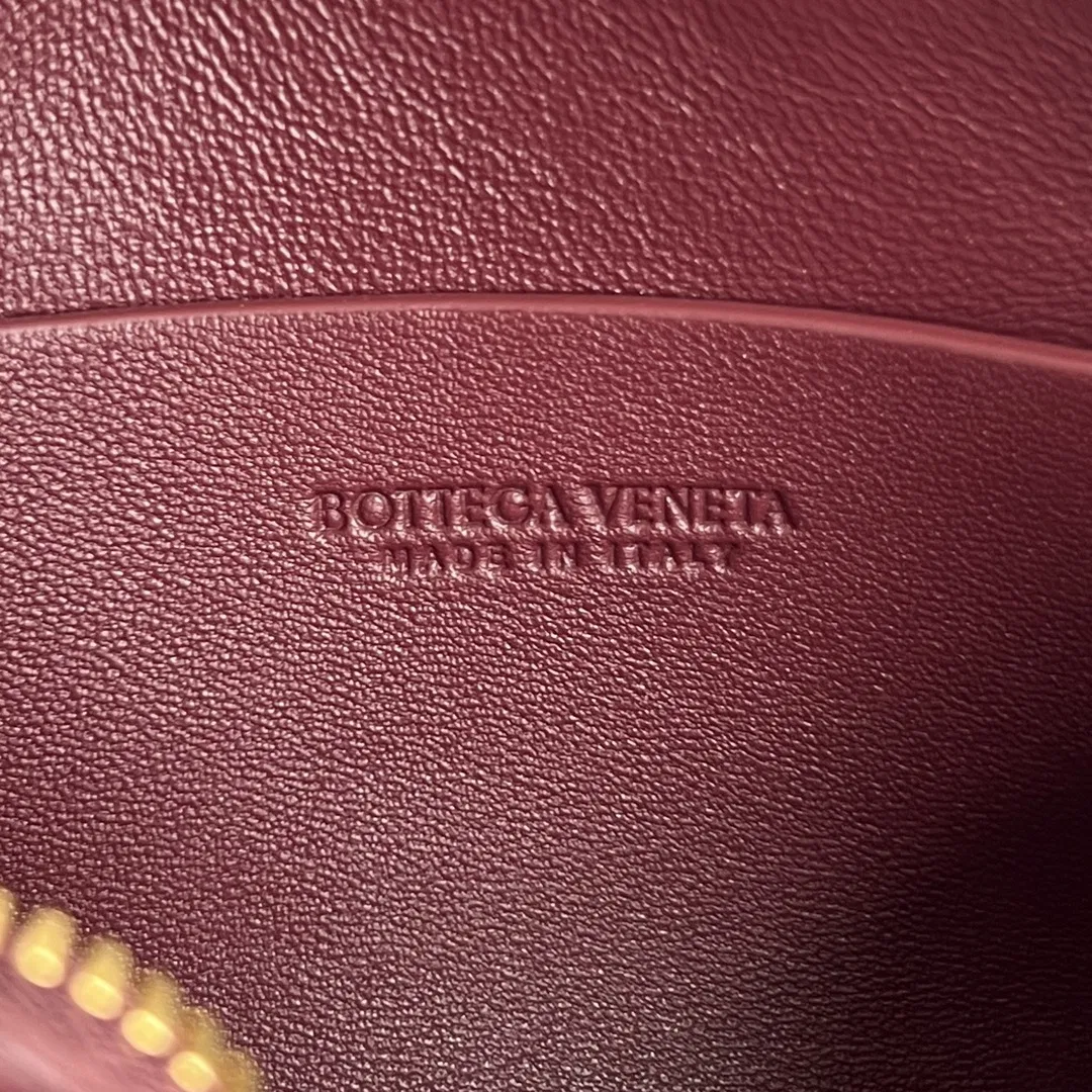BOTTEGA 27FW NWEPAZI 017 미니백 71