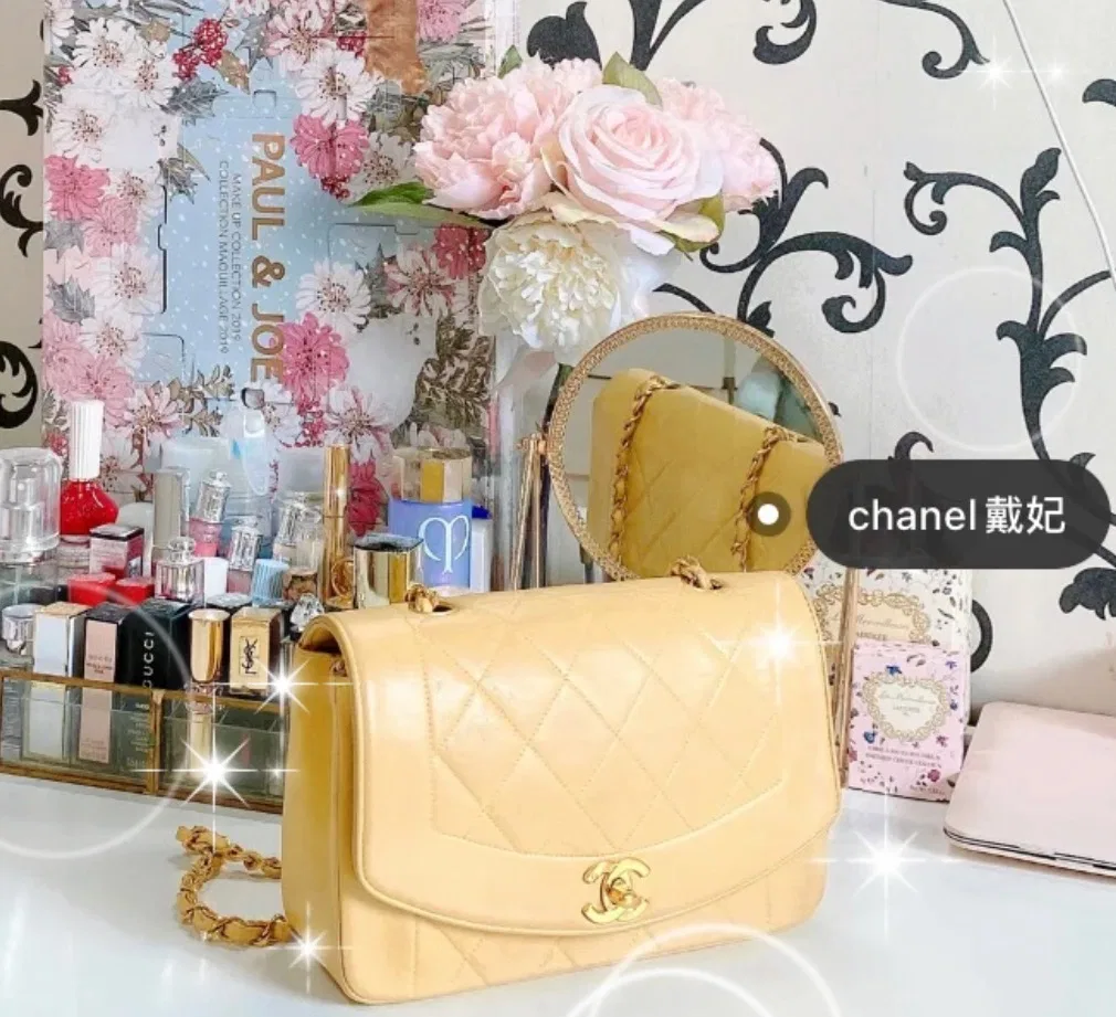 CHA 27FW WBNDIHA 269 숄더백 25