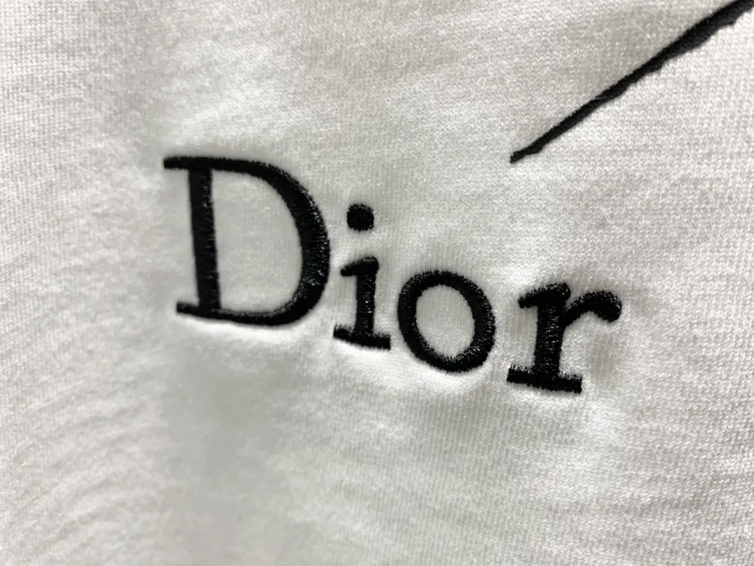 DIO 27FW ACKCRLQ 007 반팔티셔츠 11