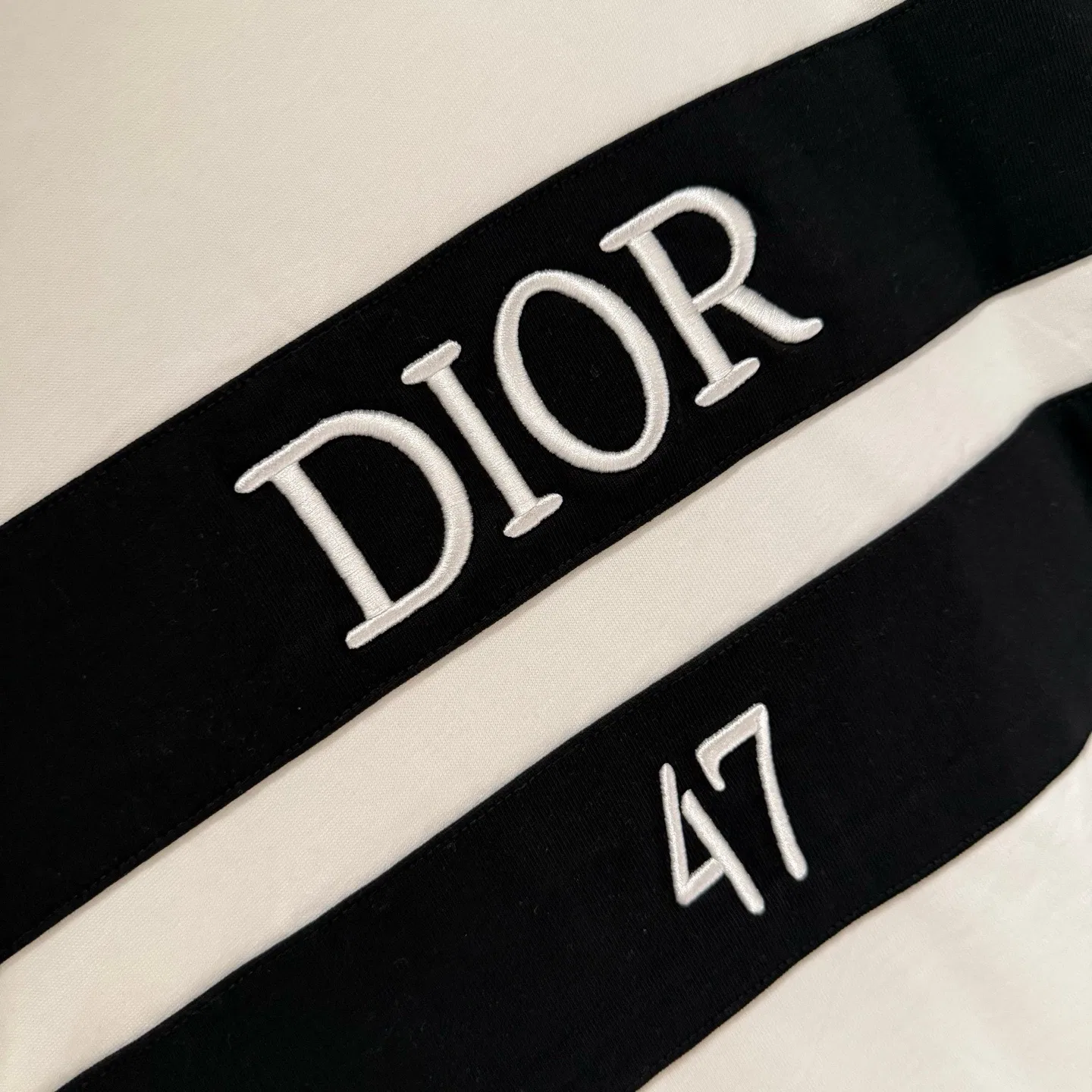 DIO 27FW EJCBGEH 006 반팔티셔츠 12