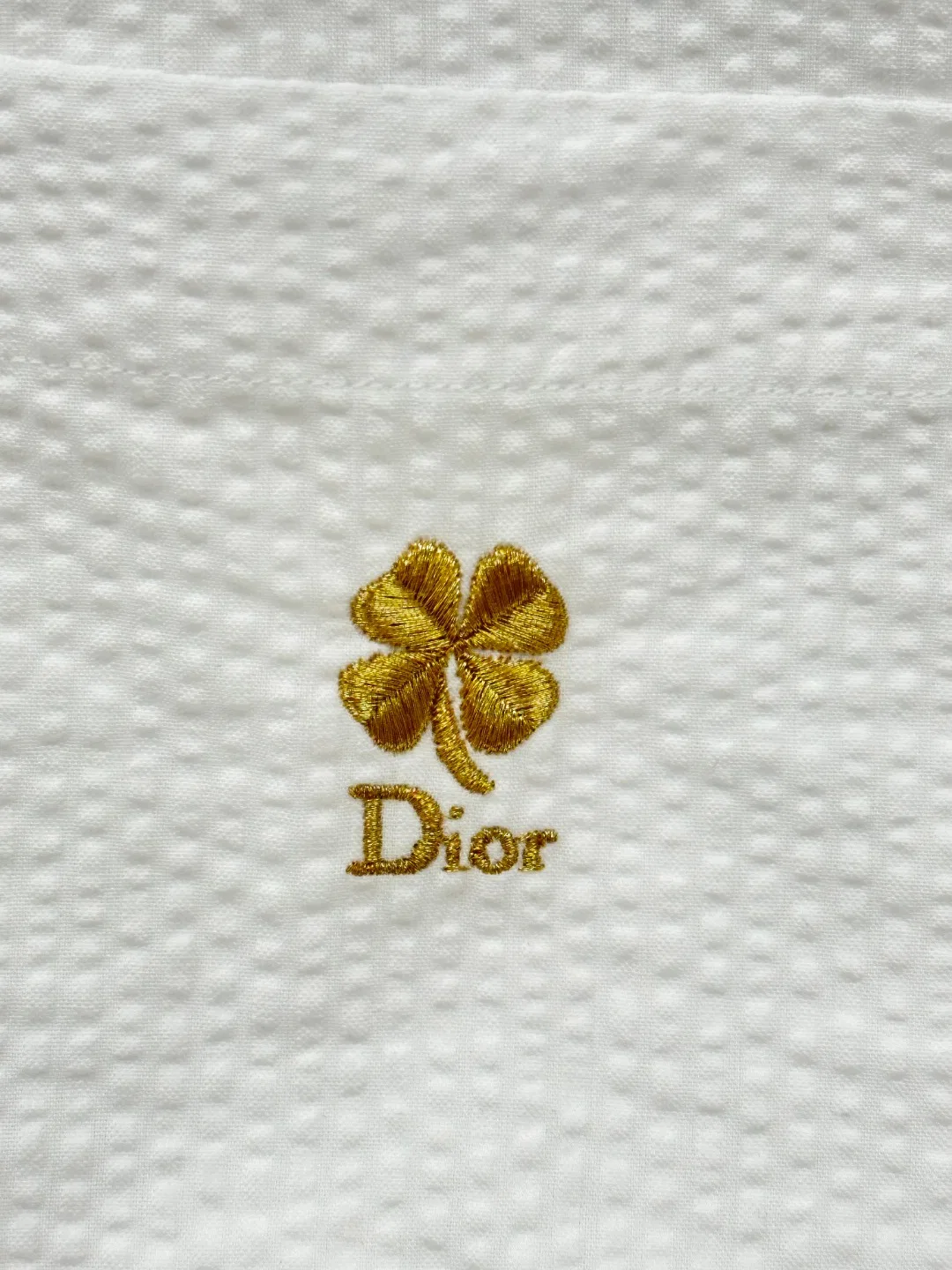 DIO 27FW EVVIHGY 011 셔츠 7