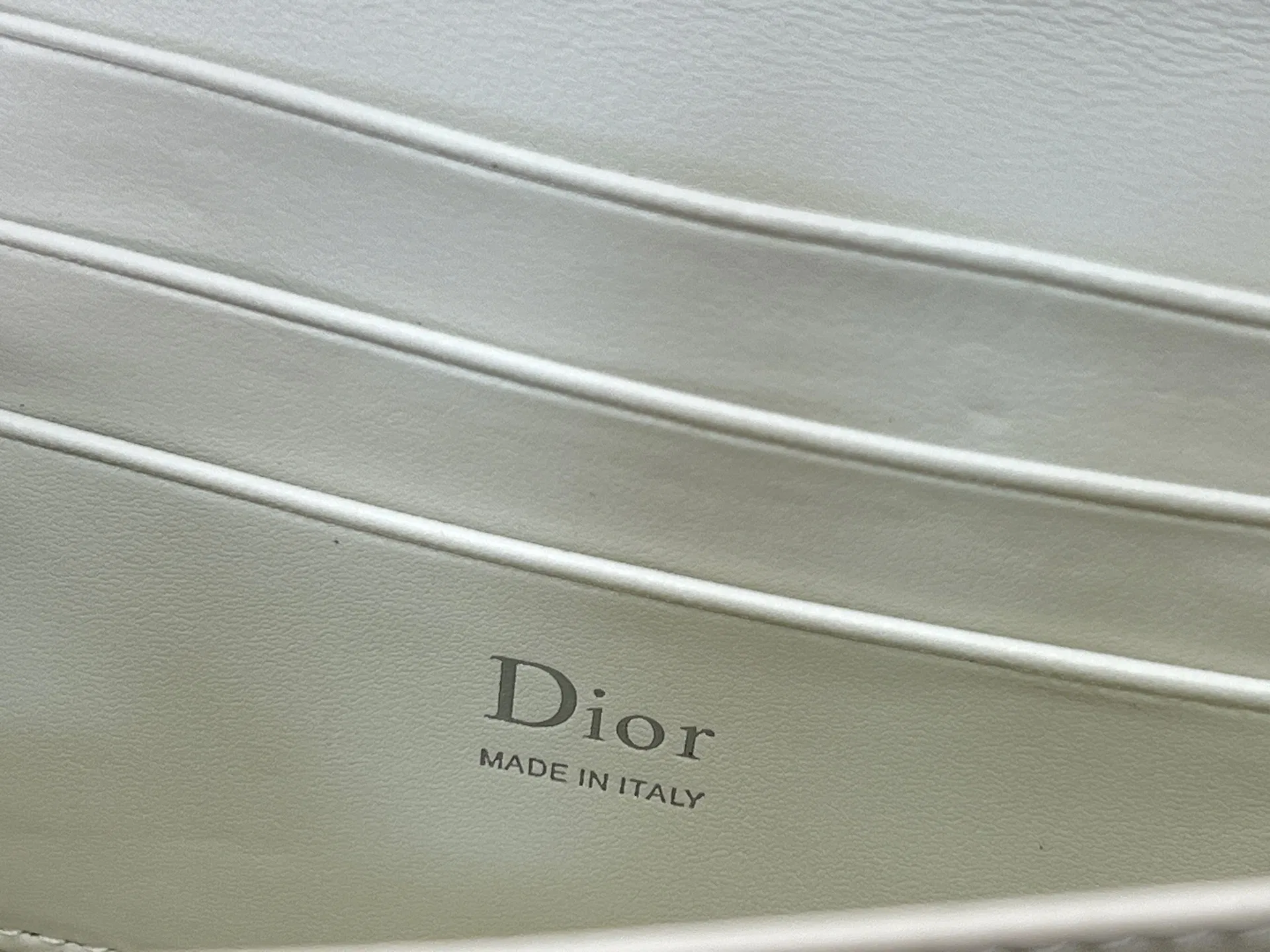 DIO 27FW YPLVSJI 018 미니백 9