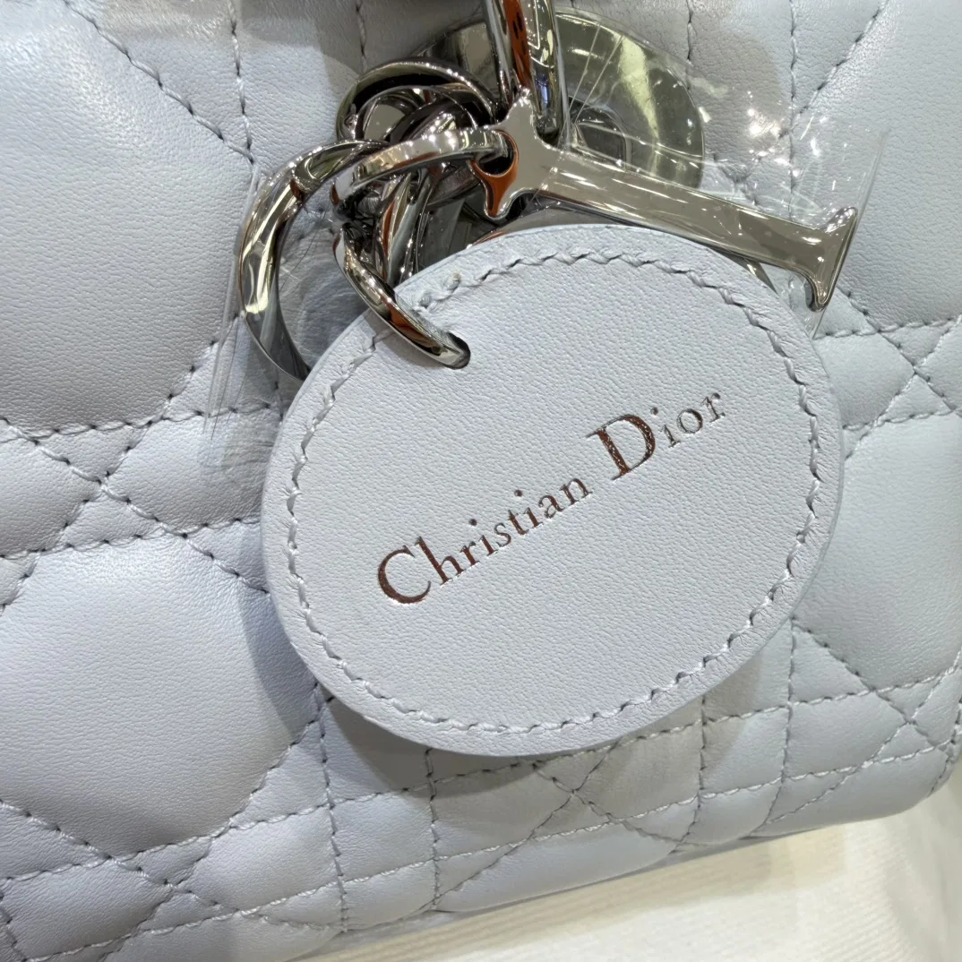 DIO 27FW YPLVSJI 039 미니백 33