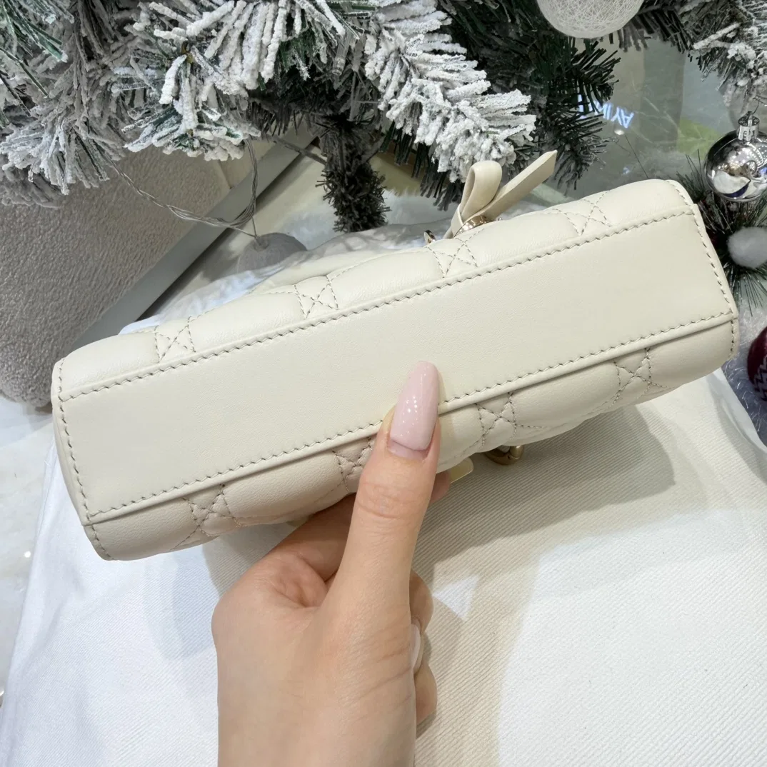 DIO 27FW YPLVSJI 039 미니백 58