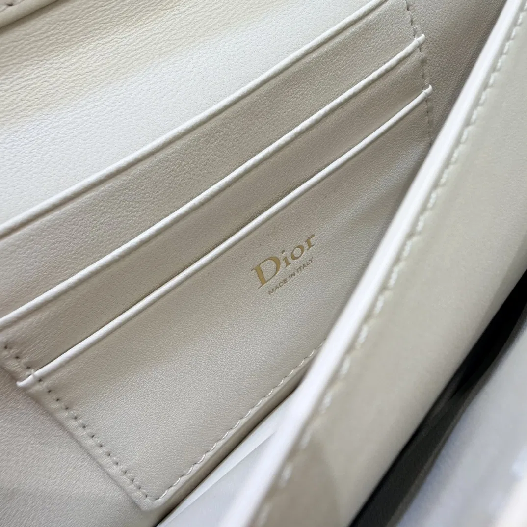 DIO 27FW YPLVSJI 040 미니백 64
