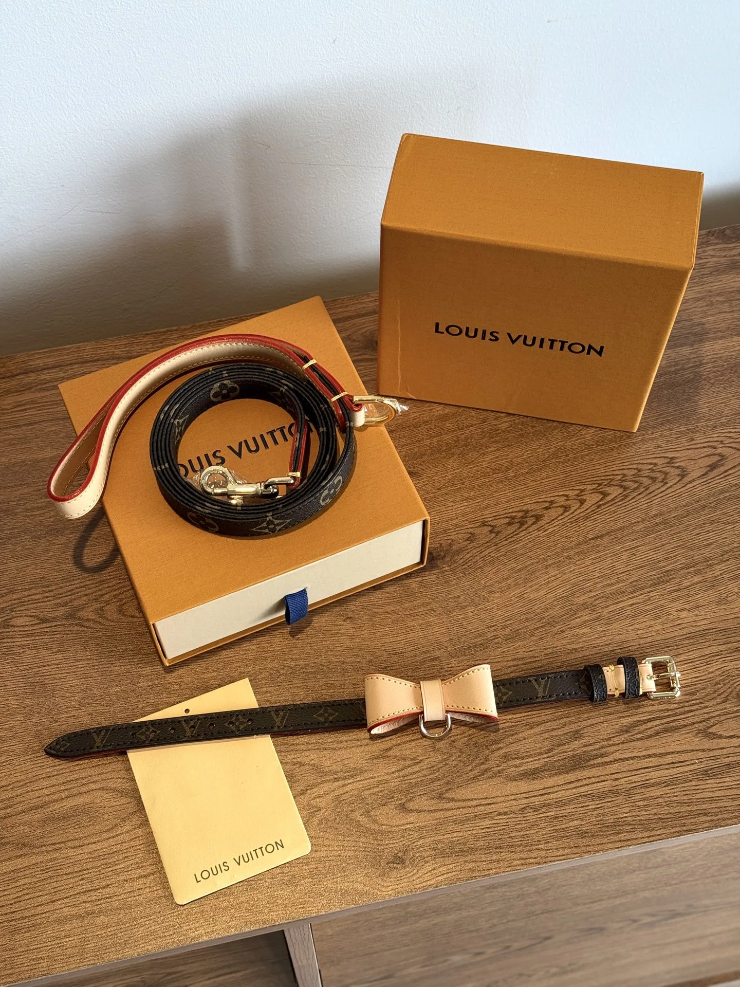 LV 27FW VCICDVH 018 애견목걸이 9