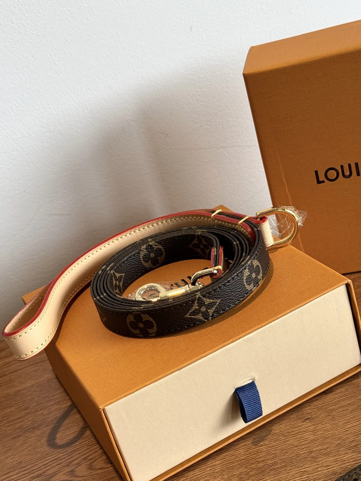 LV 27FW VCICDVH 018 애견목걸이 12