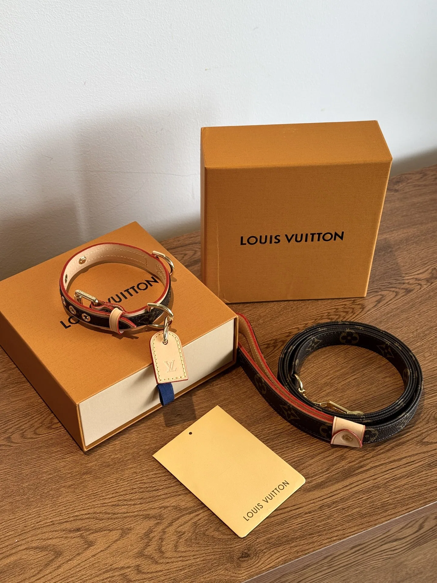 LV 27FW VCICDVH 018 애견목걸이 21