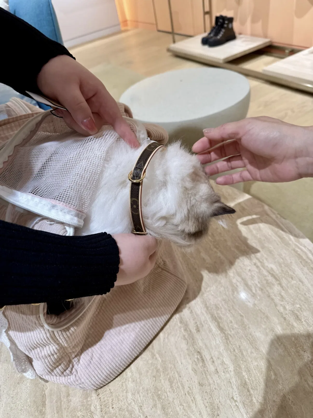 LV 27FW VCICDVH 018 애견목걸이 27