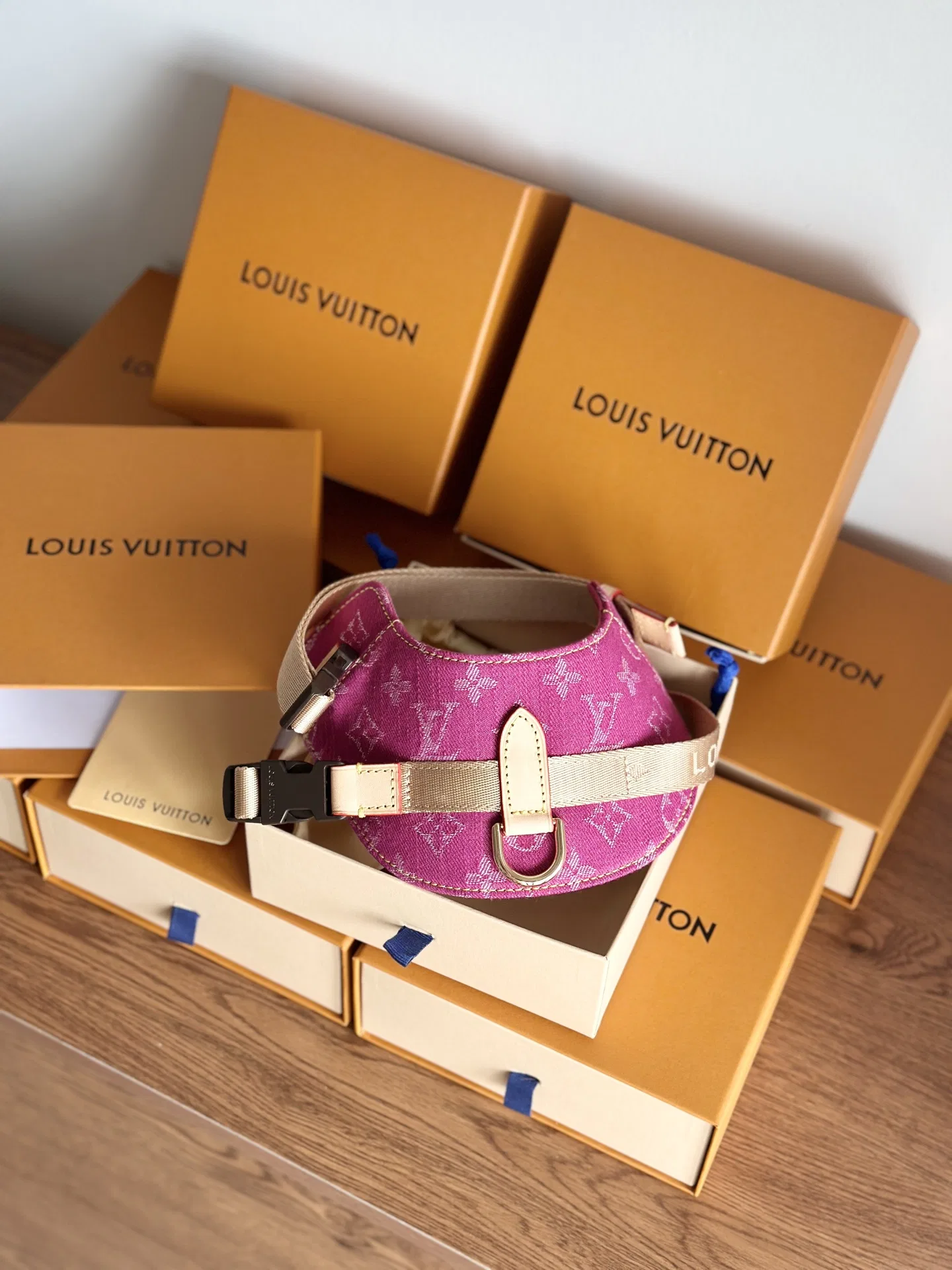 LV 27FW XHWLRED 033 애견목줄세트 9