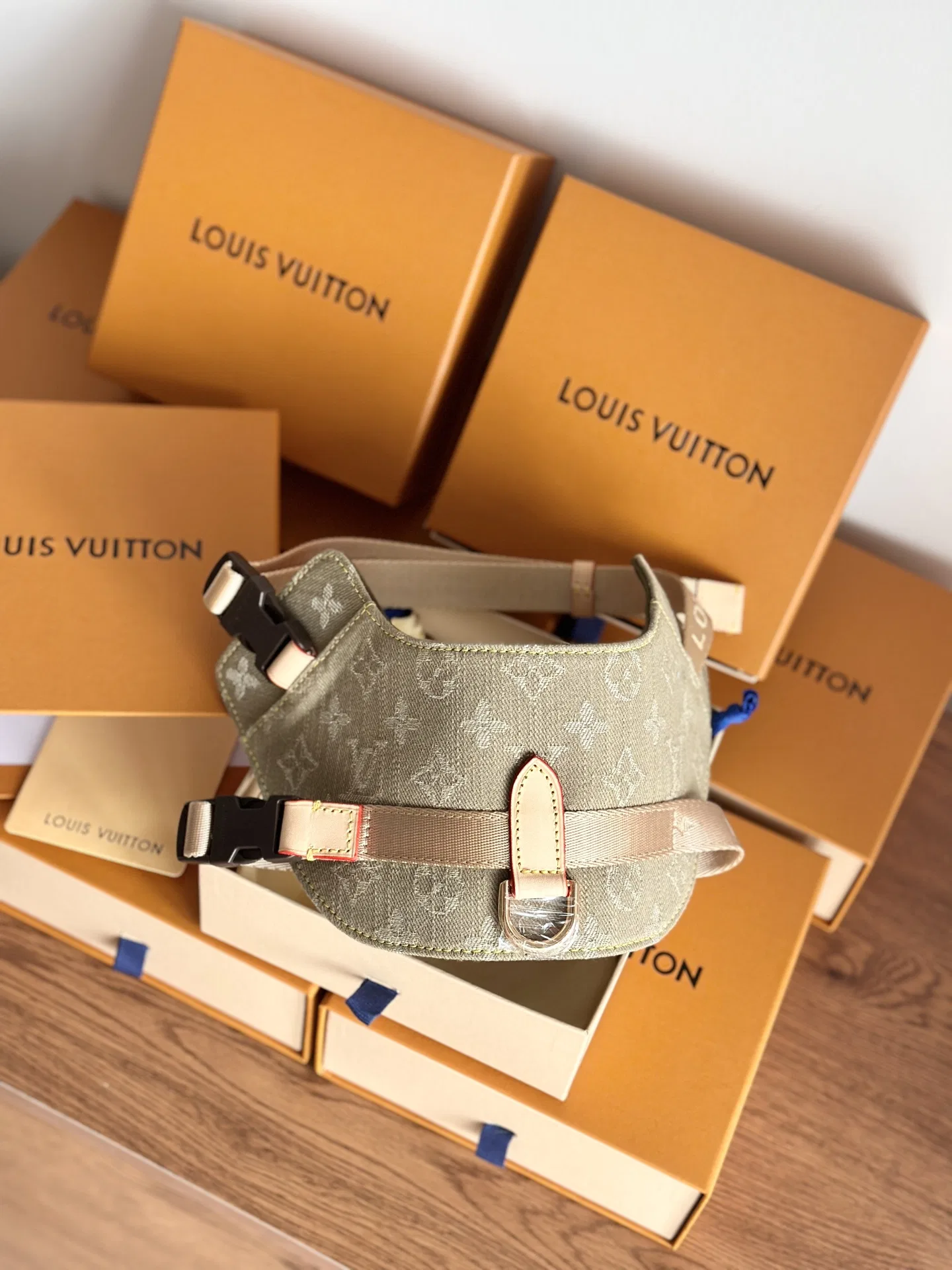 LV 27FW XHWLRED 033 애견목줄세트 10