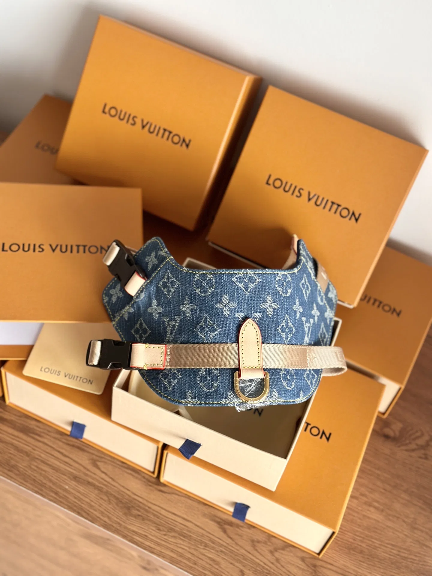 LV 27FW XHWLRED 033 애견목줄세트 11