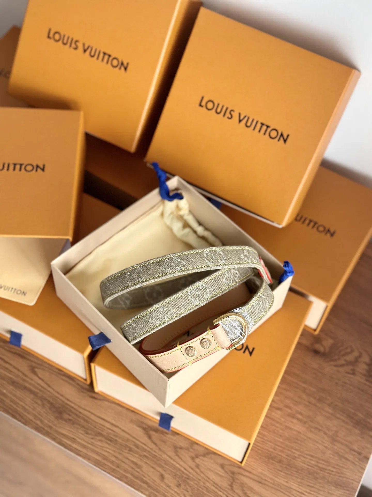 LV 27FW XHWLRED 033 애견목줄세트 13