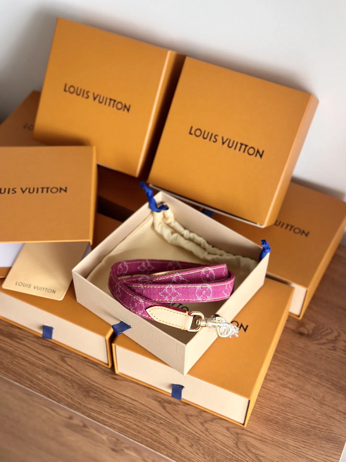 LV 27FW XHWLRED 033 애견목줄세트 14