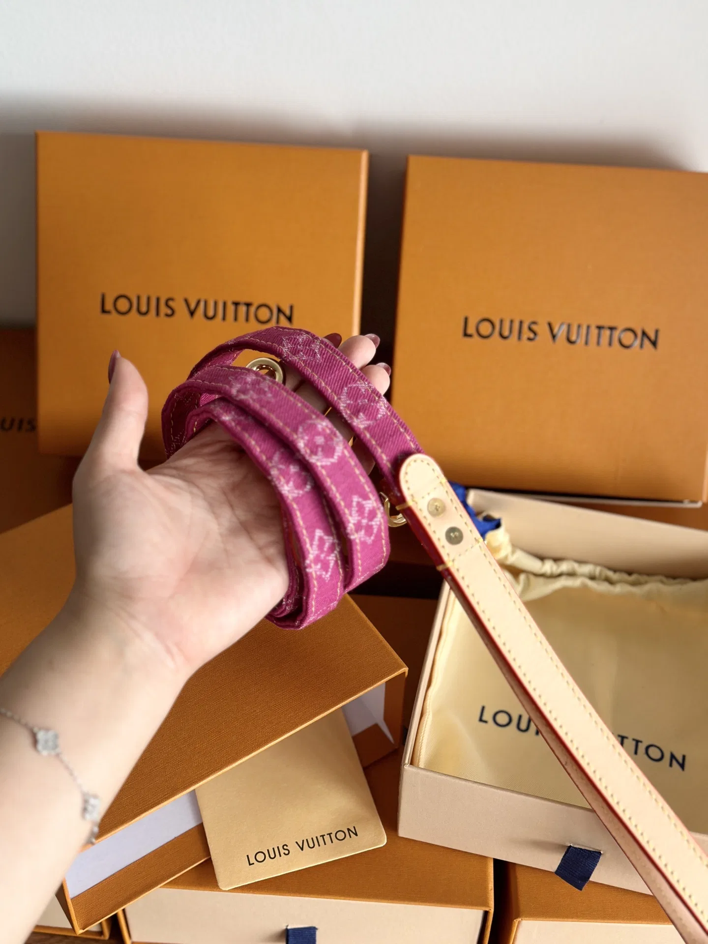 LV 27FW XHWLRED 033 애견목줄세트 22