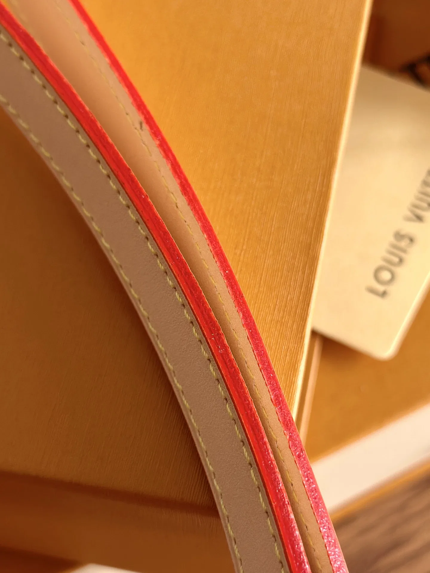LV 27FW XHWLRED 033 애견목줄세트 31