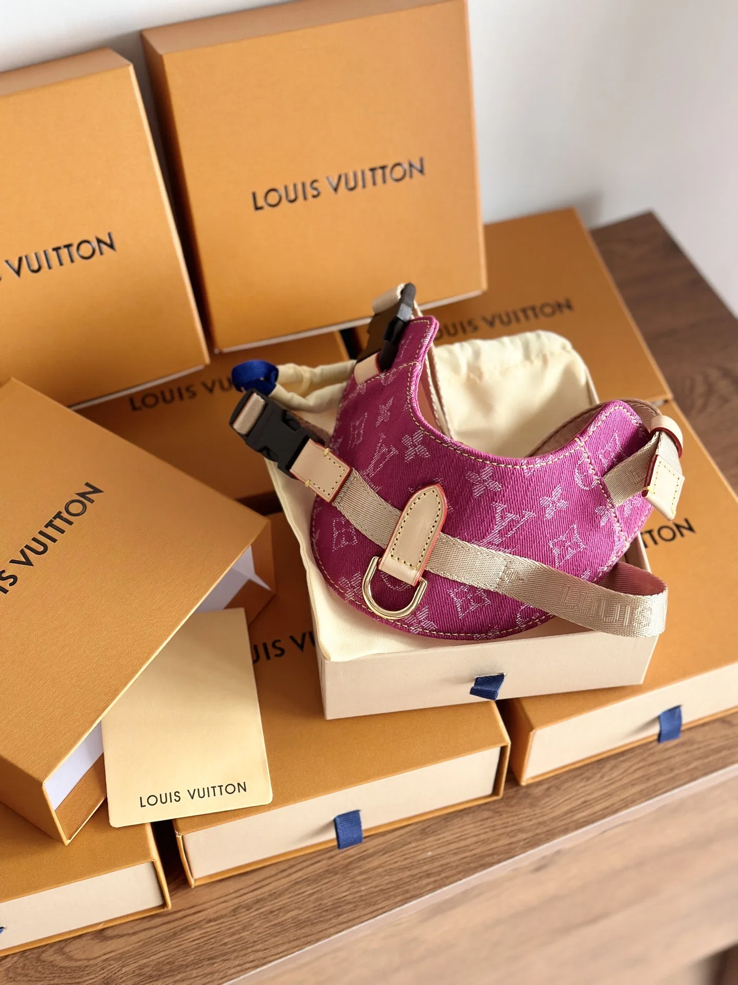 LV 27FW XHWLRED 033 애견목줄세트 38