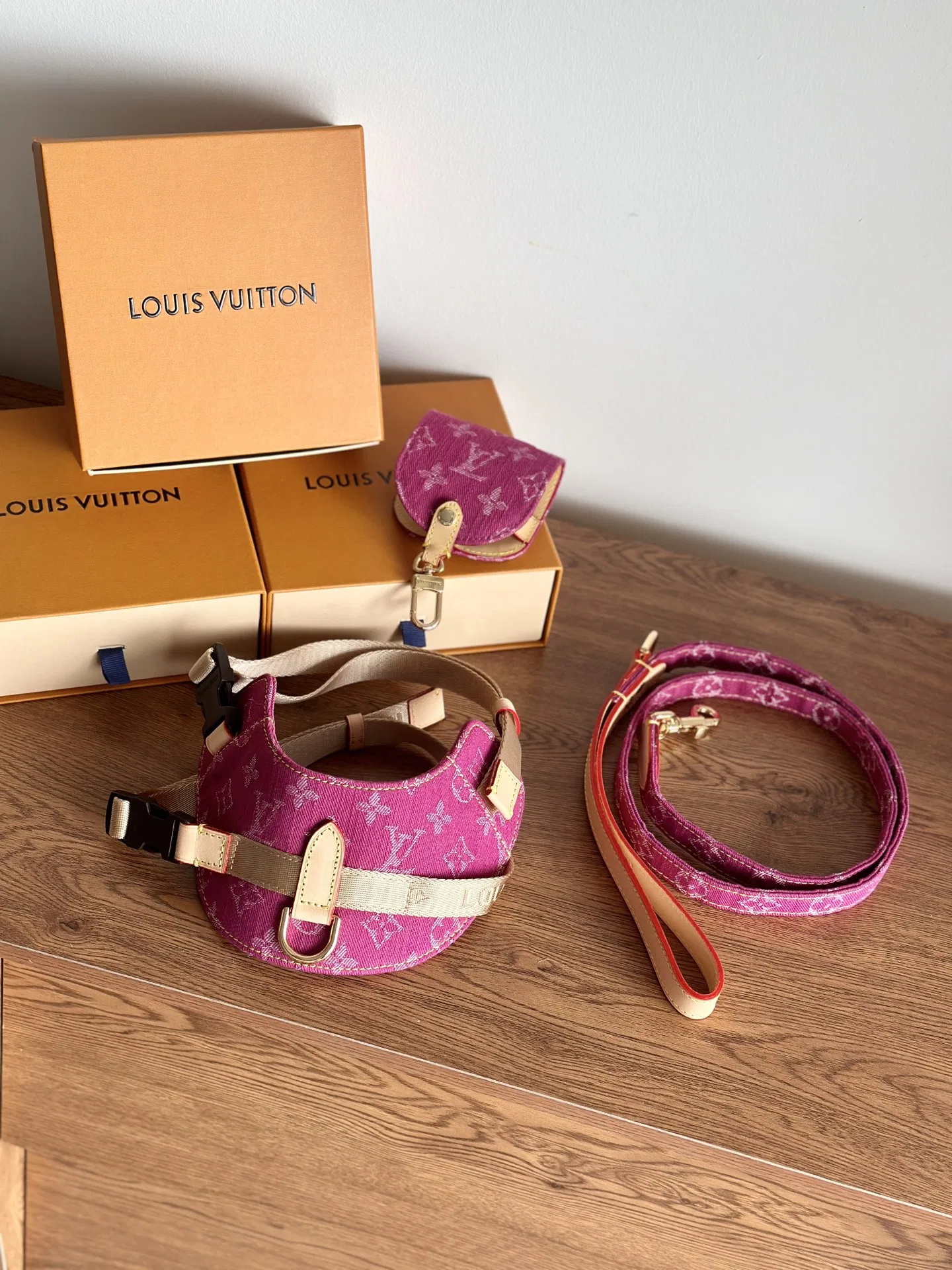 LV 27FW XHWLRED 033 애견목줄세트 51