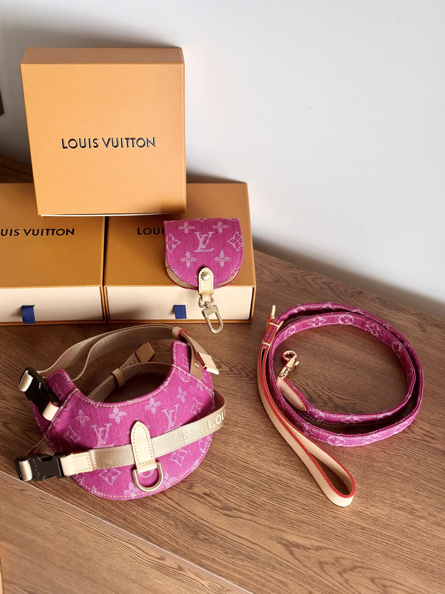 LV 27FW XHWLRED 033 애견목줄세트 53