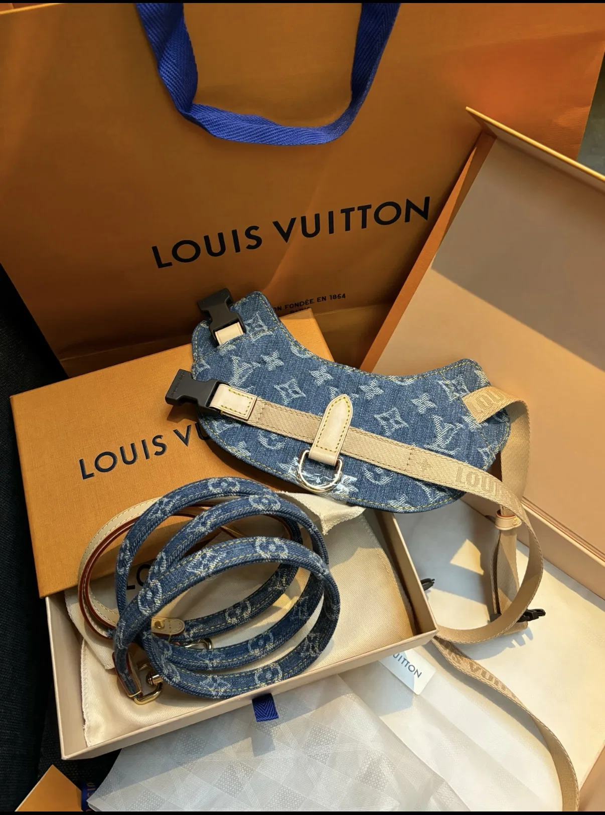 LV 27FW XHWLRED 033 애견목줄세트 72