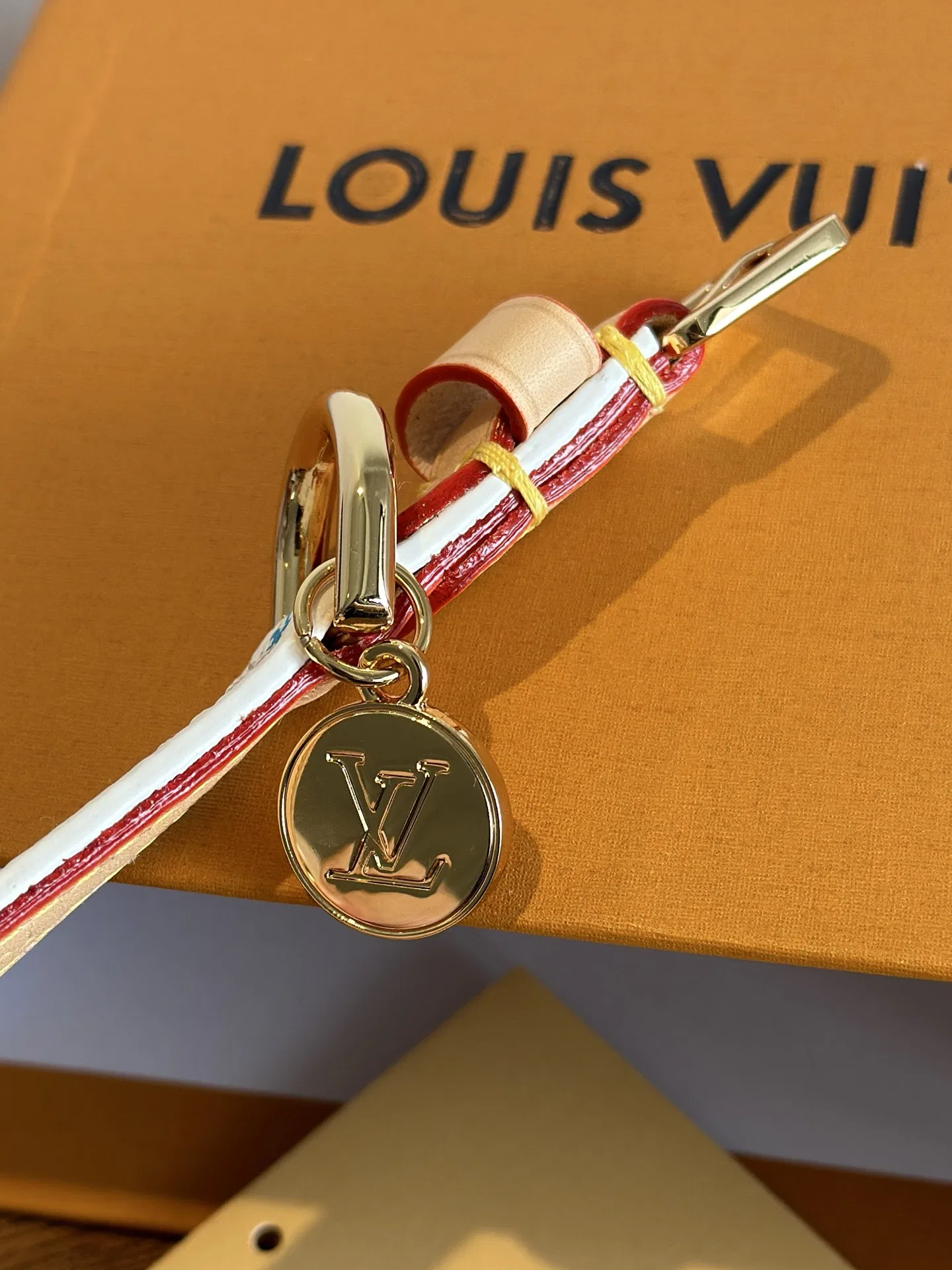 LV 27FW XHWLRED 035 애견목걸이 11