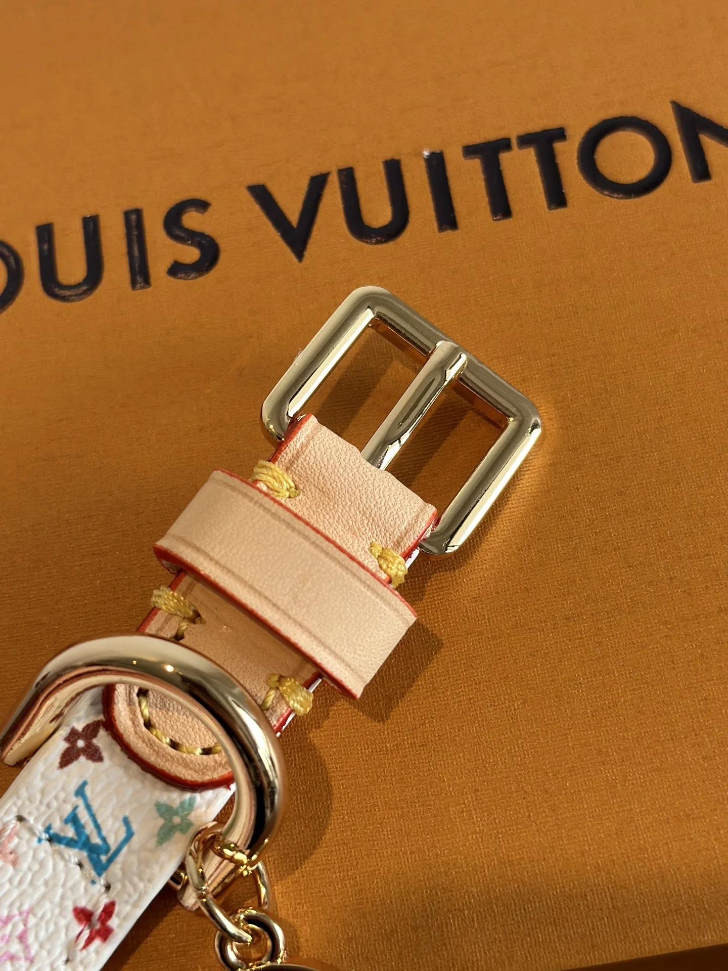 LV 27FW XHWLRED 035 애견목걸이 12