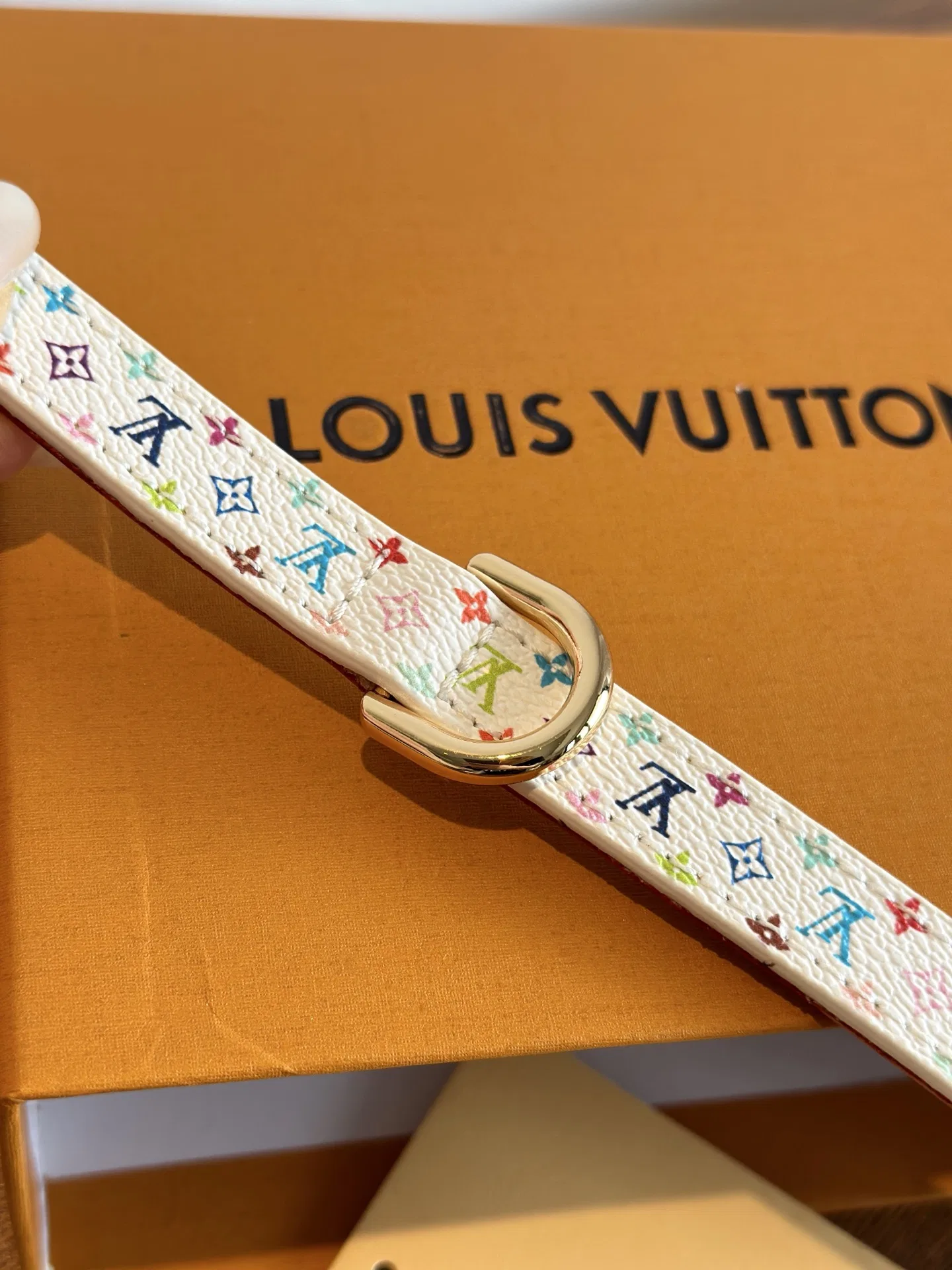 LV 27FW XHWLRED 035 애견목걸이 14