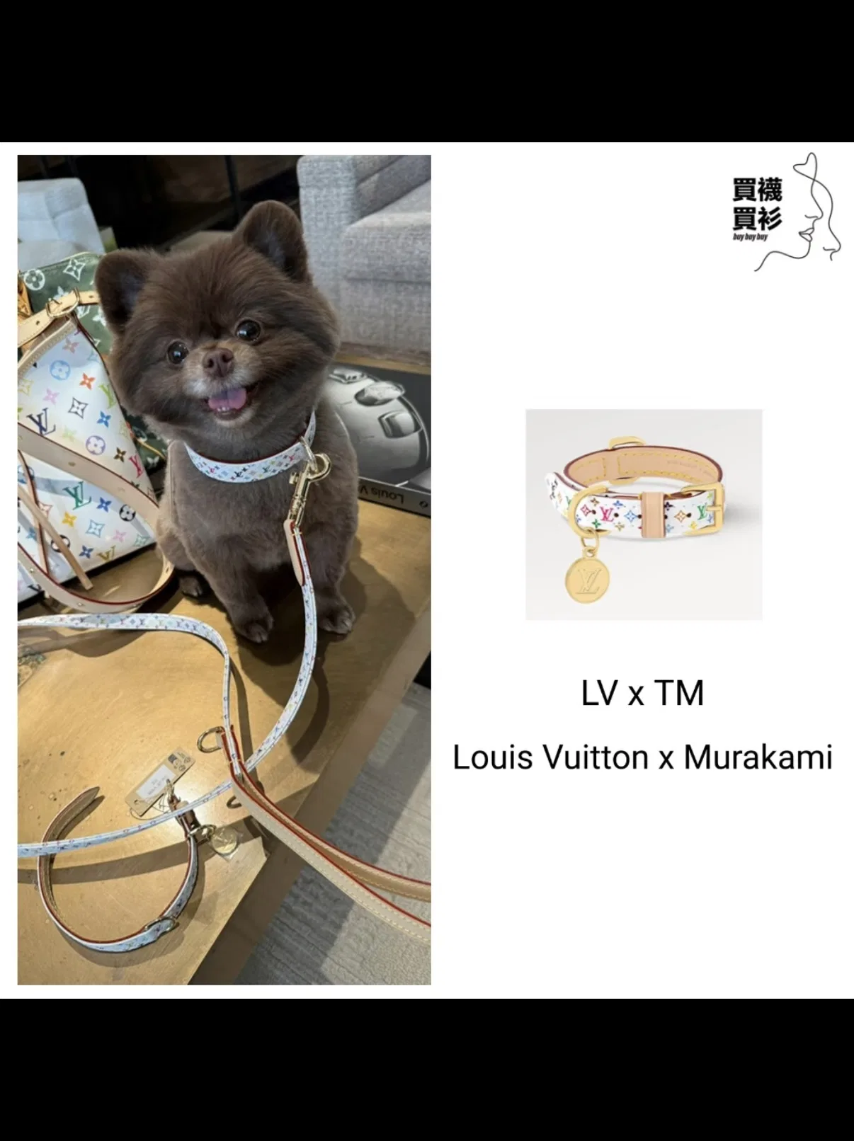 LV 27FW XHWLRED 035 애견목걸이 42