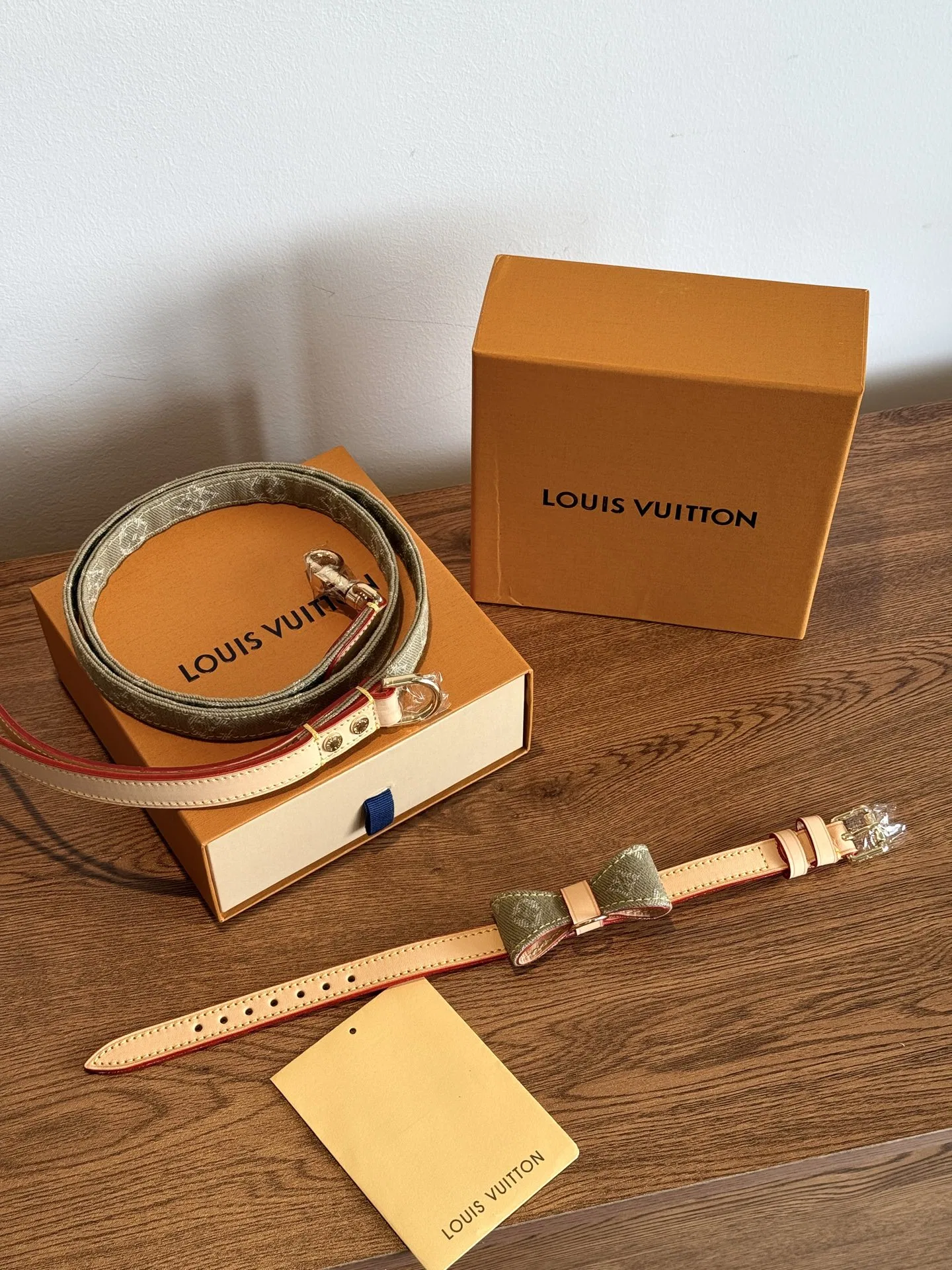 LV 27FW XHWLRED 037 애견목걸이 14