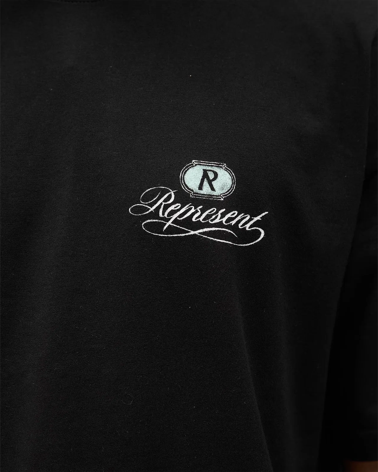 REPRESENT 27FW FHUKJFA 005 반팔티셔츠 21